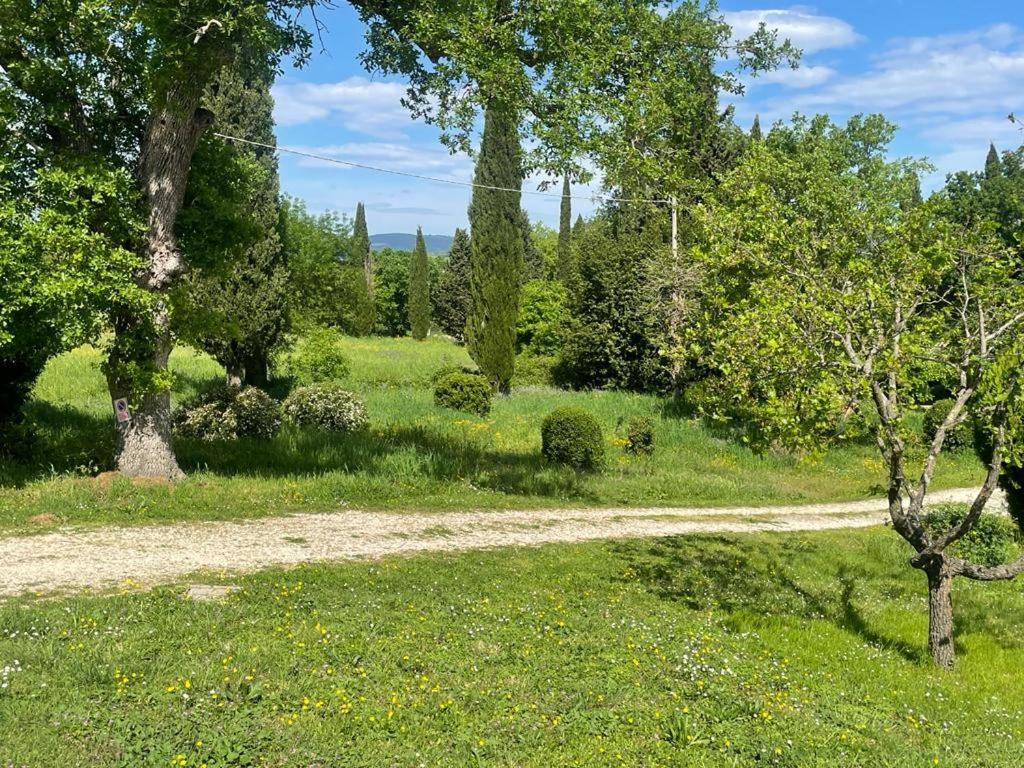 Casa Indipendente In Paese Con Giardino Villa Saturnia Exterior photo